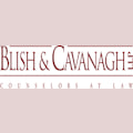 Blish & Cavanagh, LLP